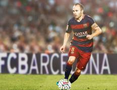 德约科维奇迎来十五赛季出色发挥，利物浦观众热烈欢呼！气势如虹延续